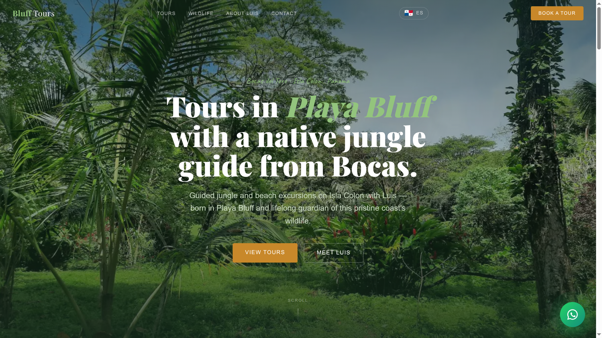 bocasblufftours.com